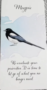 Divine Feather Messenger